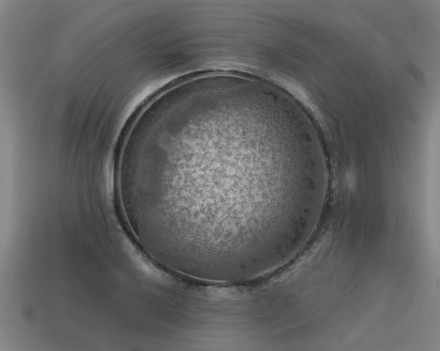 X0000113591032200909251131