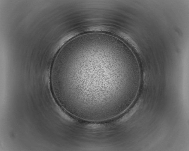 X0000113591033200909251131