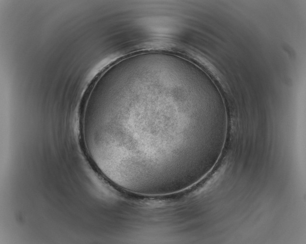 X0000113591034200909251131