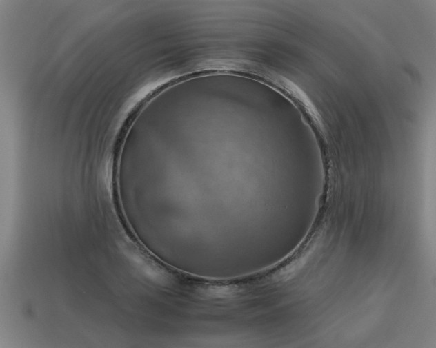 X0000113591035200909251131