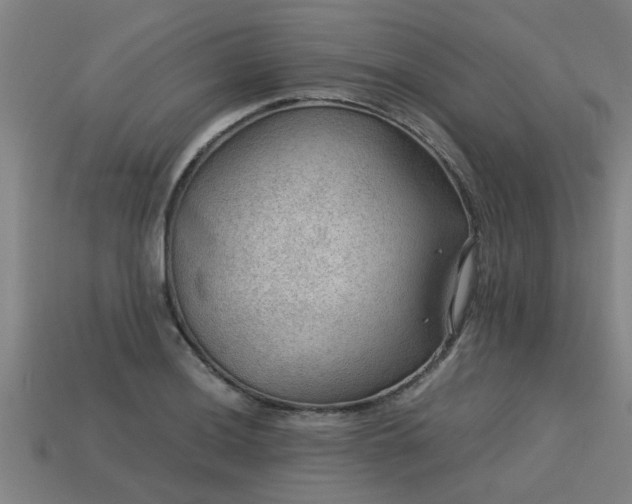 X0000113591036200909251131