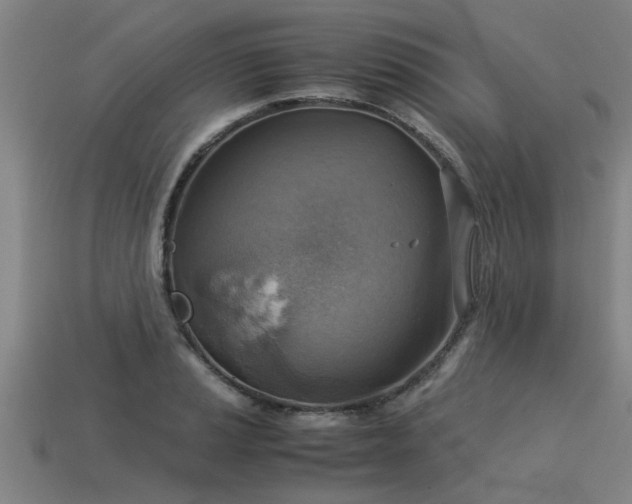 X0000113591037200909251131