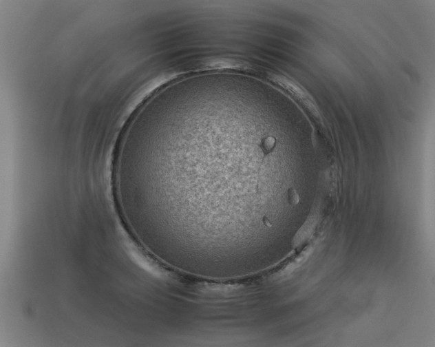 X0000113591039200909251131