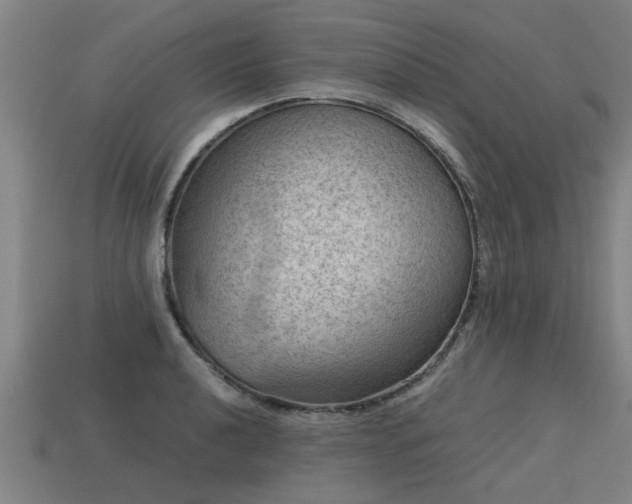 X0000113591040200909251131