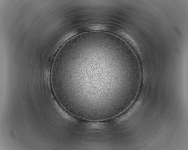 X0000113591041200909251131