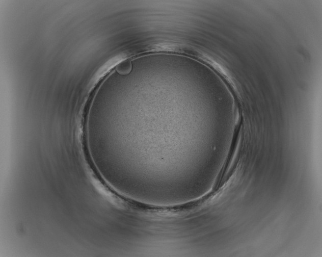 X0000113591042200909251131