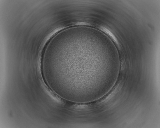 X0000113591043200909251131