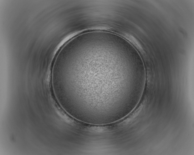 X0000113591044200909251131