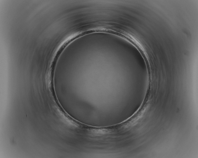 X0000113591045200909251131