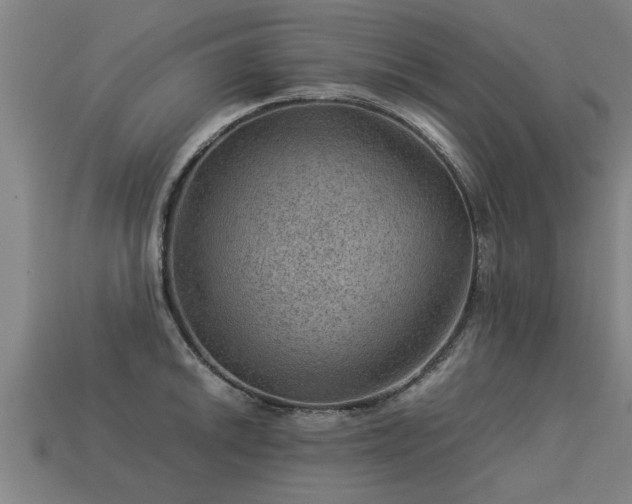 X0000113591046200909251131