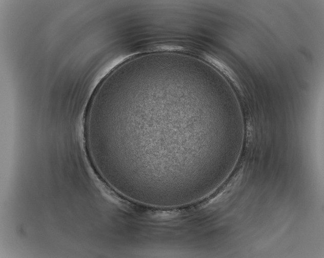 X0000113591047200909251131