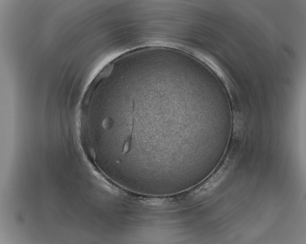 X0000113591048200909251131