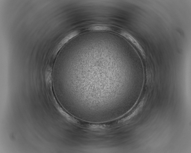 X0000113591049200909251131