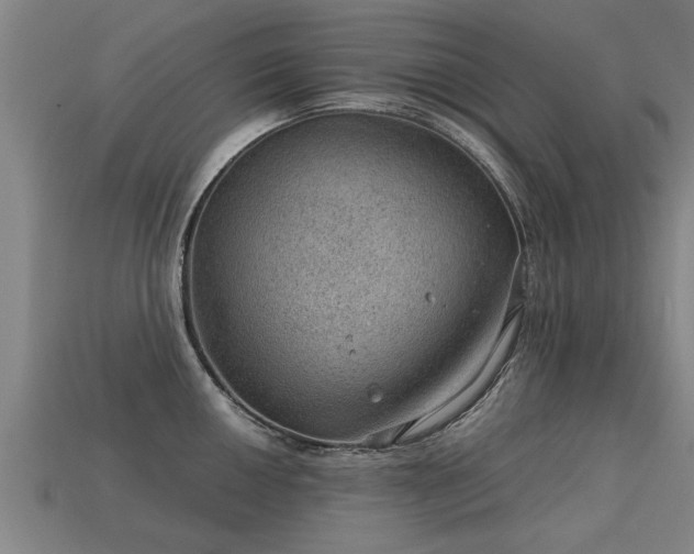 X0000113591050200909251131