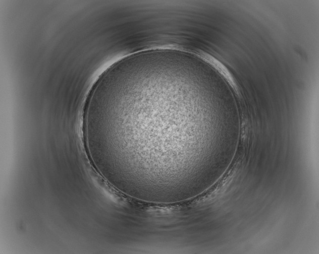 X0000113591051200909251131