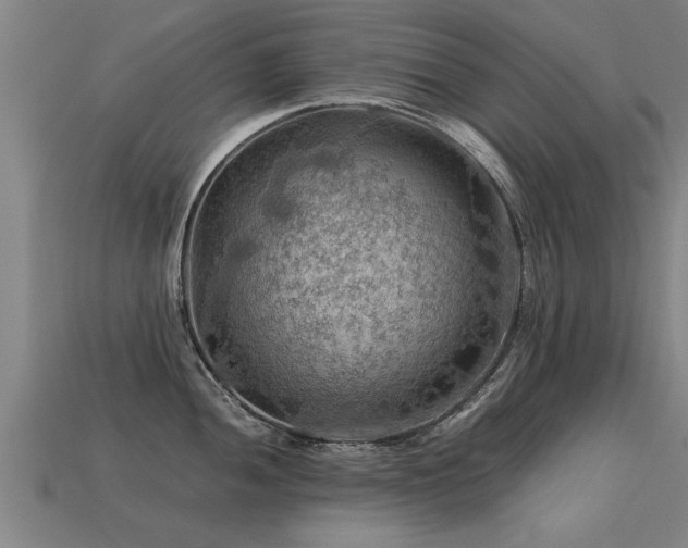 X0000113591052200909251131