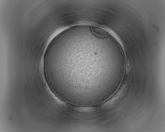 X0000113591053200909251132