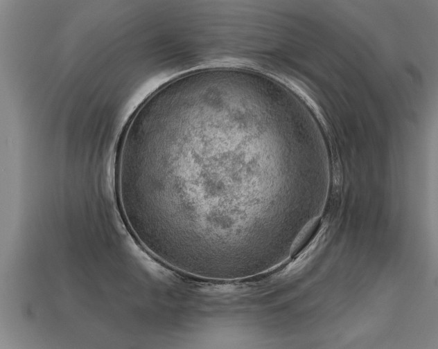 X0000113591054200909251132