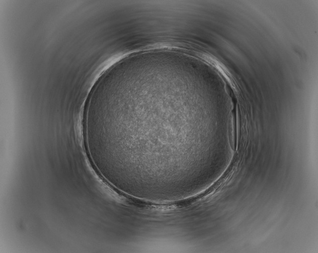 X0000113591055200909251132