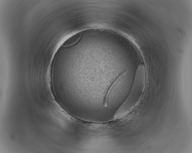 X0000113591056200909251132