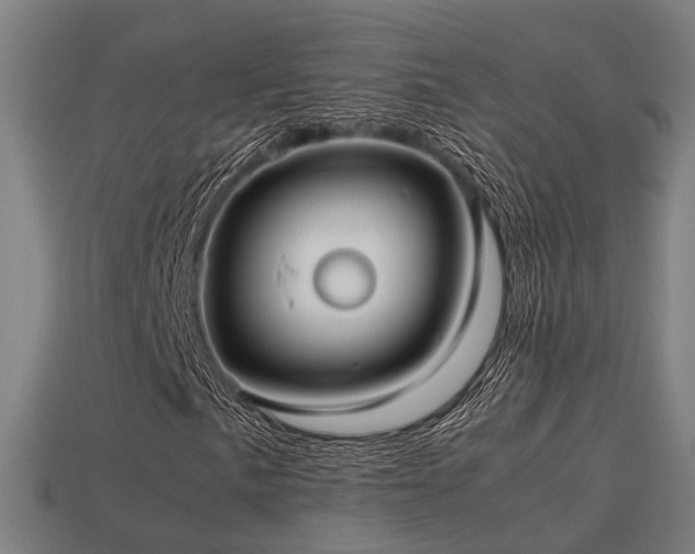 X0000113591057200909251131