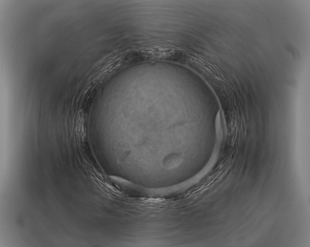 X0000113591058200909251131