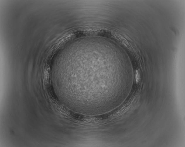 X0000113591059200909251131