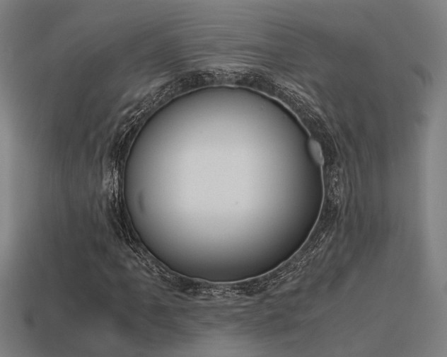 X0000113591061200909251131