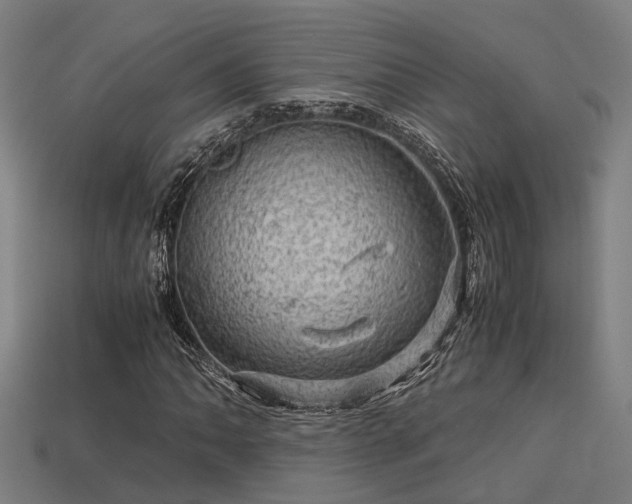 X0000113591062200909251131