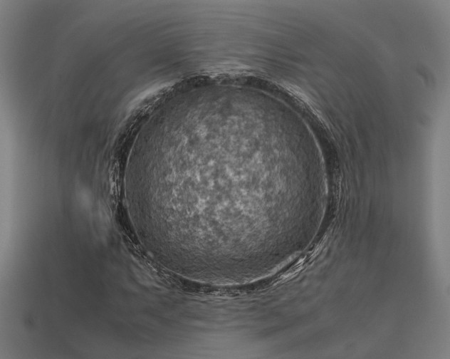 X0000113591063200909251131