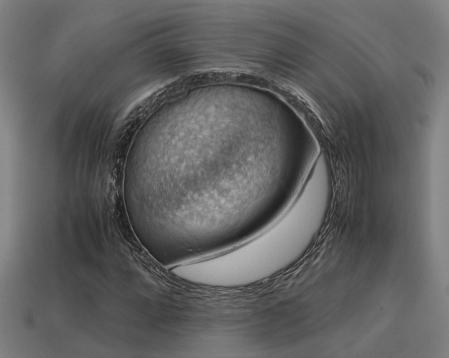 X0000113591064200909251131