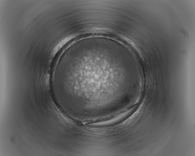 X0000113591066200909251131