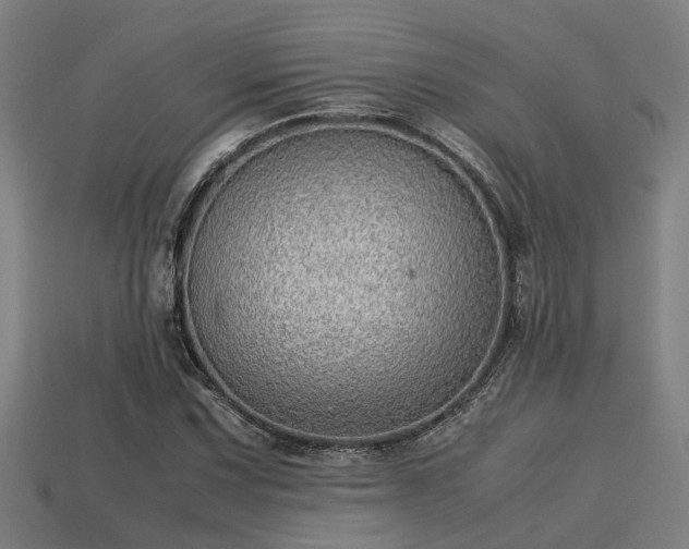 X0000113591067200909251131