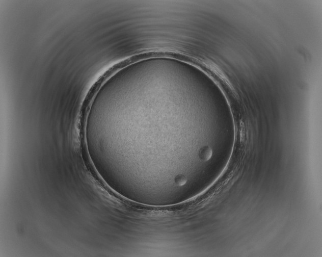 X0000113591068200909251131