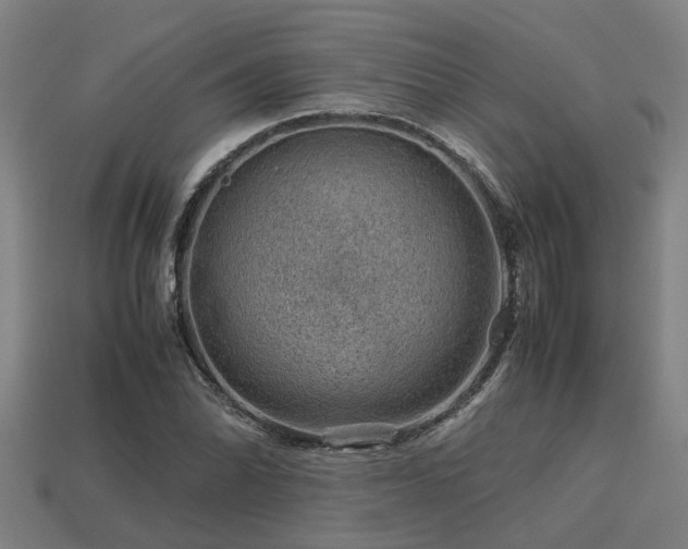 X0000113591070200909251131