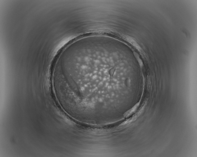 X0000113591071200909251131