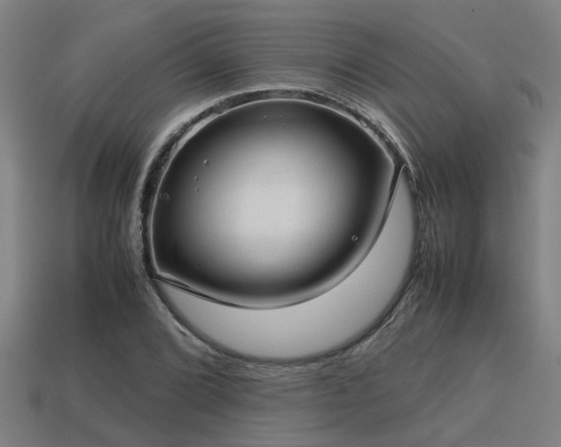 X0000113591072200909251131