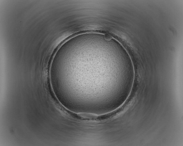 X0000113591073200909251131