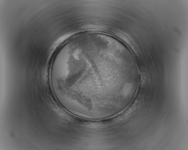 X0000113591074200909251131