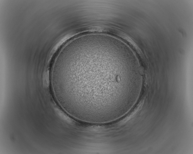 X0000113591075200909251131