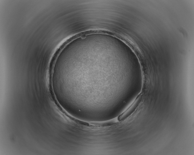 X0000113591076200909251131