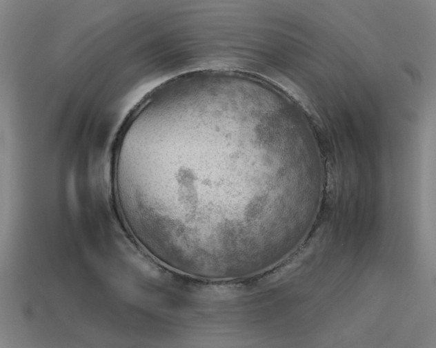 X0000113591078200909251131