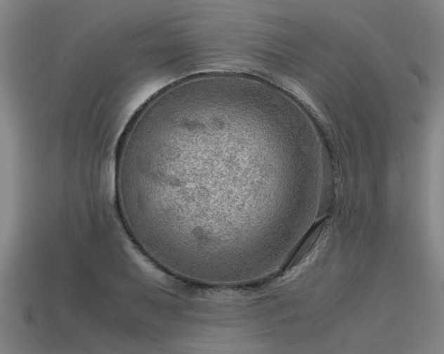 X0000113591079200909251131