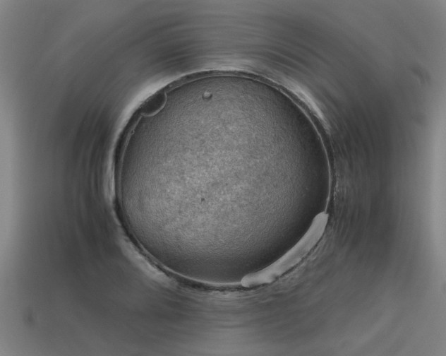 X0000113591080200909251131