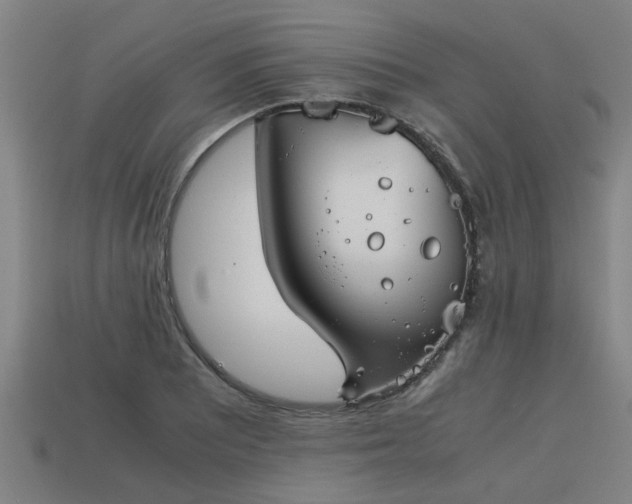 X0000113591081200909251131