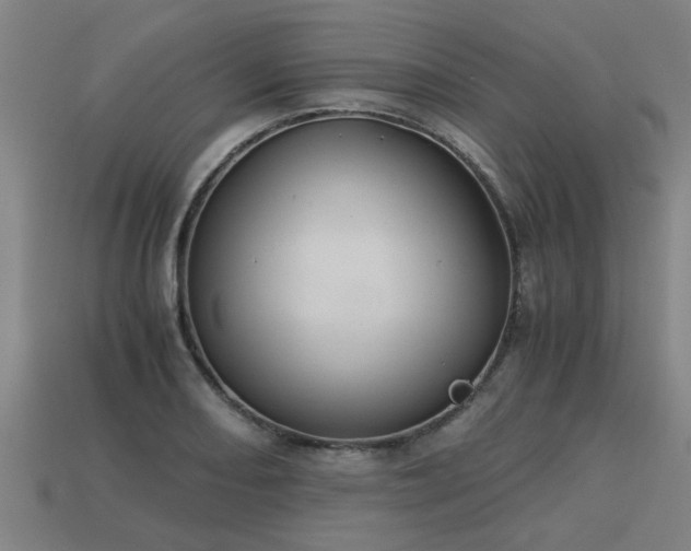 X0000113591082200909251131