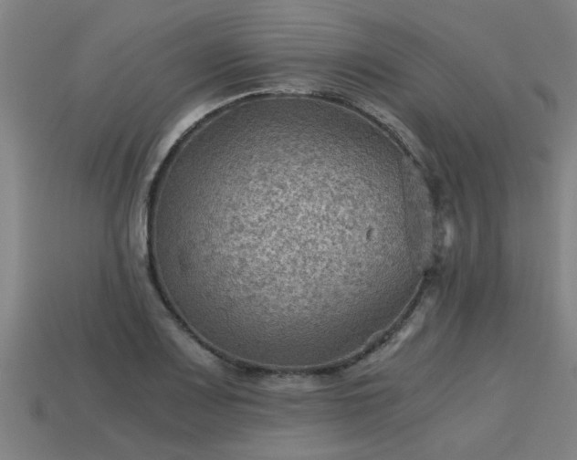 X0000113591083200909251131