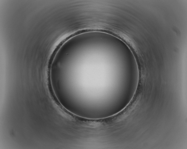 X0000113591085200909251131