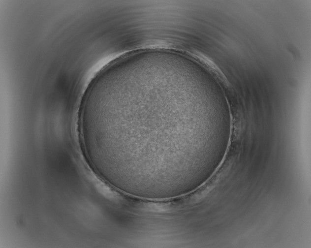 X0000113591086200909251131