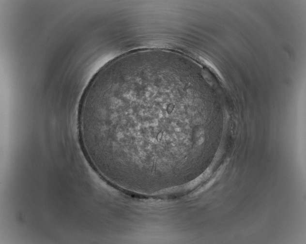 X0000113591087200909251131